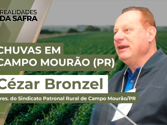 Realidades da Safra yt