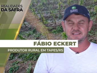 realidades fabio - site