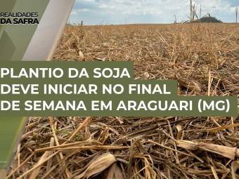 realidades-soja-09