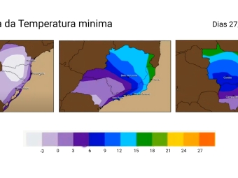 Sem Título-1