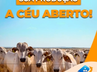 Seu-depósito-a-céu-aberto