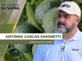 SITE-ANTÔNIO-CARLOS-SIMONETTI