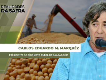 SITE-Carlos-Eduardo-M.-Marquêz