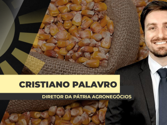 site-Cristiano-Palavro