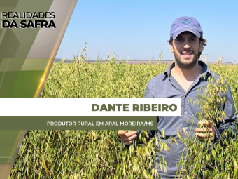 site-DANTE-RIBEIRO