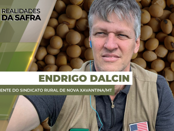 site-ENDRIGO-Dalcin