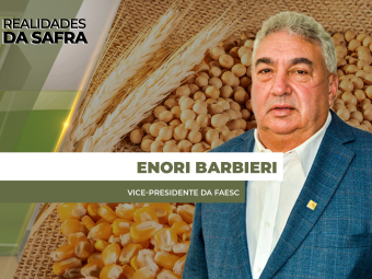 site-ENORI-BARBIERI