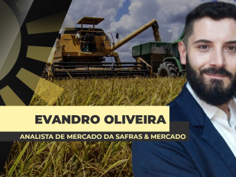 site-Evandro-Oliveira