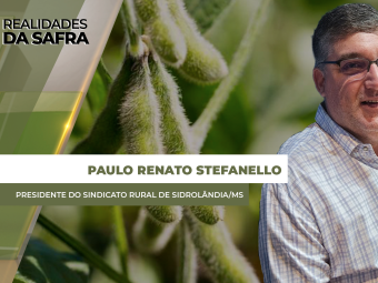 site-Paulo-Renato