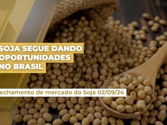 soja-02
