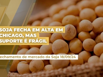 SOJA-18
