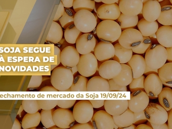 soja-19