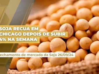 soja-26