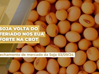 soja