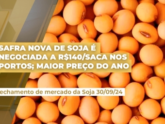 soja-30