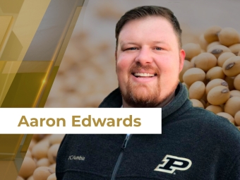 Soja 4 site
