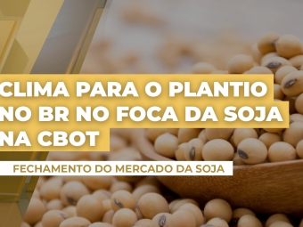 soja