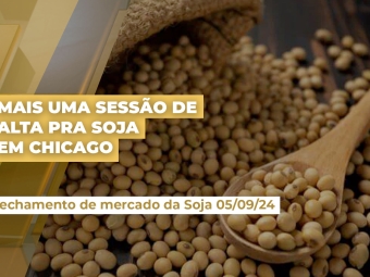 soja