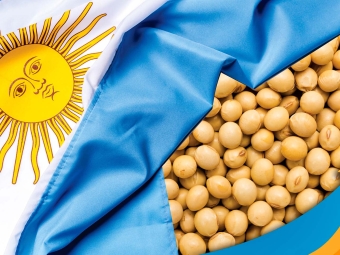 soja argentina