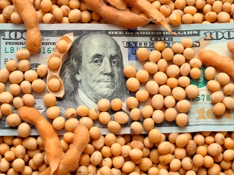 soja e dollar