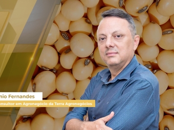 Soja e Milho site