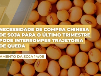 soja