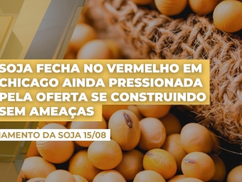 soja
