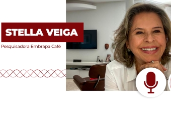Stella-yt
