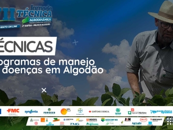 TÉCNICAS-ALGODÃO