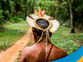terra indigena vicente dutra
