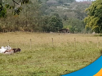 territorio