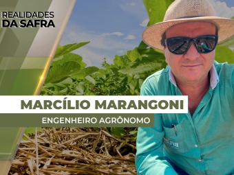 thum marcilio - please