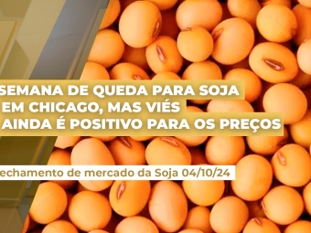 THUMB_AMARELO-DOURADO_2024