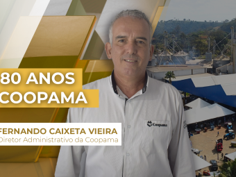 THUMB_AMARELO-DOURADO_2024_comercial_coopama