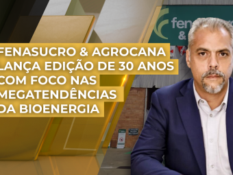 THUMB_AMARELO-DOURADO_2024_FenasucroAgrocana