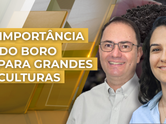 THUMB_AMARELO-DOURADO_2024_viter2907