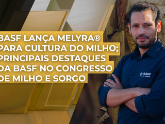 THUMB_AMARELO-DOURADO_BASF-0310