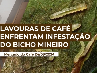 thumb-café-24-09
