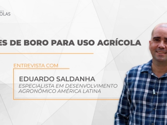 Thumb_Entrevistas_2023_Green