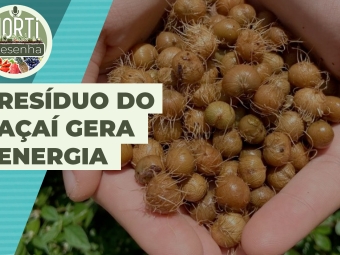 THUMB_HORTI RESENHA #62