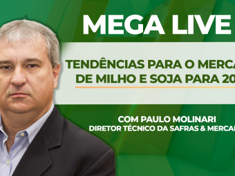 THUMB_MEGA-LIVE_SAFRAS_2024