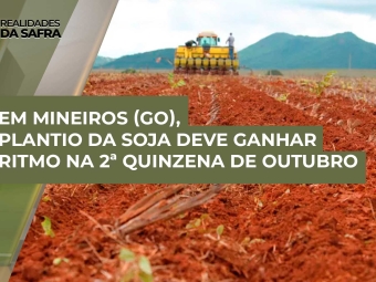 THUMB-PLANTIO-DE-SOJA