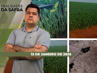 THUMB_RDS_13.01 yt e site