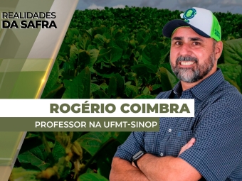 thumb Rogerio - site