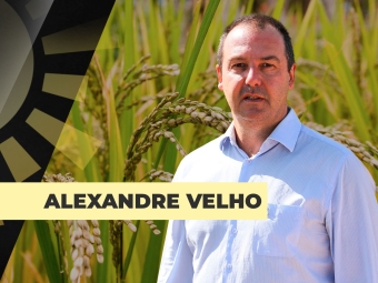 THUMB-SITE-ALEXANDRE-VELHO
