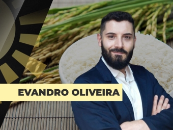 THUMB-SITE-EVANDRO