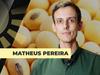 thumb-site-Matheus-Pereira-31-10