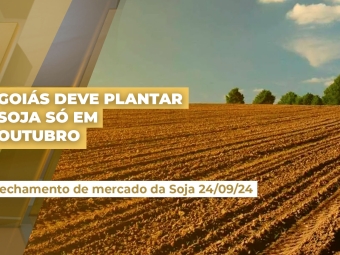 thumb-soja-goiás
