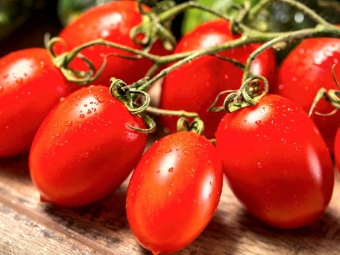 tomate-hibrido