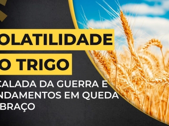 trigo